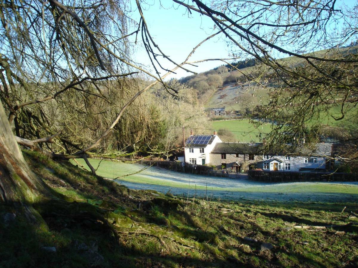Rose Cottage Dutlas Knighton  Εξωτερικό φωτογραφία